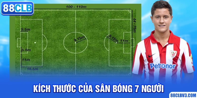 Kích Thước Sân Bóng Đá 11 – 7 – 5 Người Theo Luật FIFA Kích thước của sân bóng 7 người