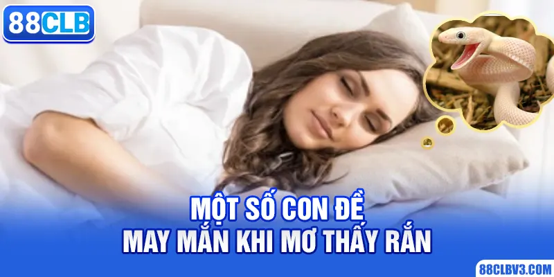 Một số con đề may mắn khi mơ thấy rắn