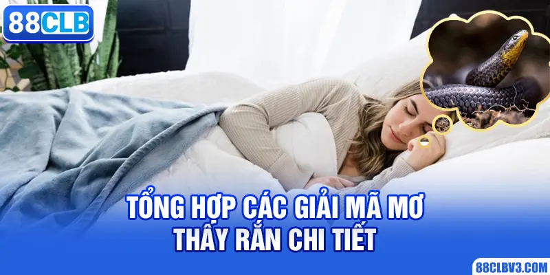 Tổng hợp các giải mã mơ thấy rắn chi tiết