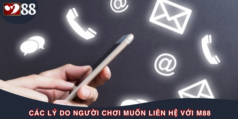 Nguyên nhân dịch vụ liên hệ của chúng tôi được yêu thích