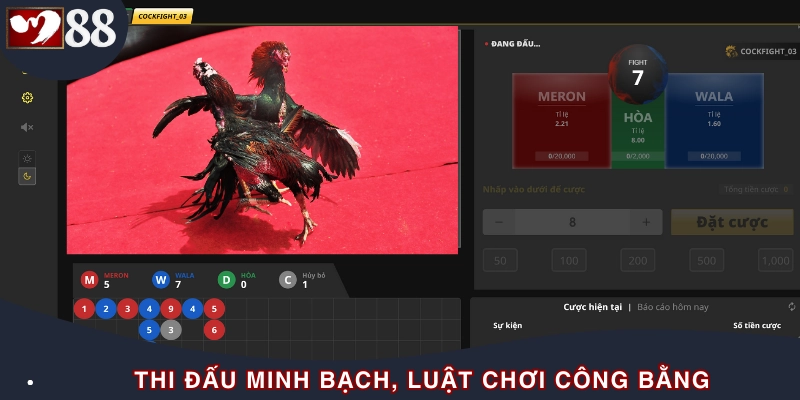 Quy định rõ ràng từ chọn gà đến thi đấu