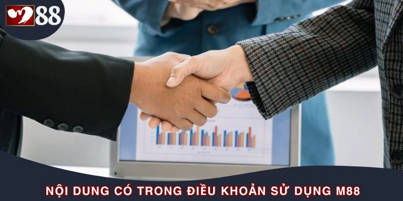 Tổng hợp những điều khoản sử dụng có tại sân chơi