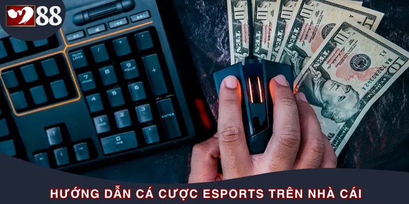 Hướng dẫn cá cược Esports cho mọi người chơi