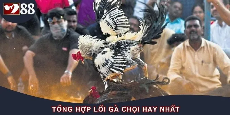 Top các thế đá lừng danh mọi kê thủ nên biết