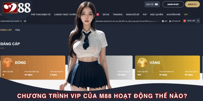 Chương trình VIP tại đây sẽ bao gồm 5 cấp bậc khác nhau