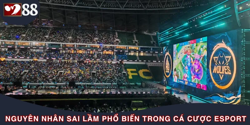 Vài sai lầm phổ biến trong cá cược esport bạn sẽ gặp