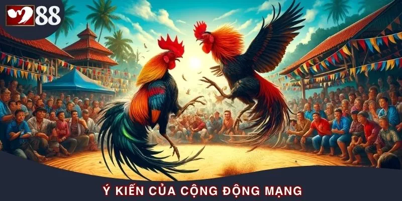 Trực tiếp trận gà 24 tỷ và những tranh cãi sau ánh hào quang